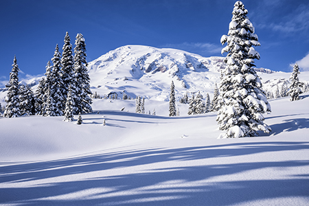Rainier in Winter